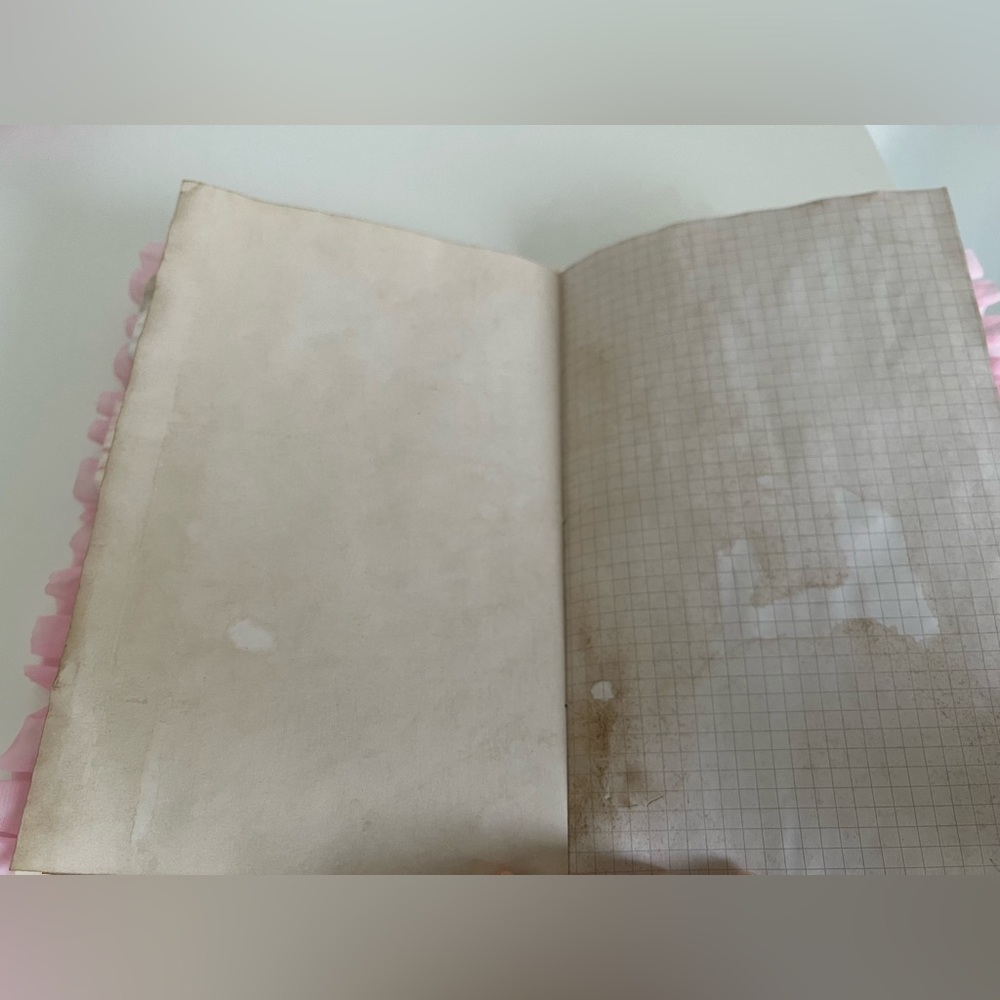 Hearts and Key Journal - Picture 6 of 12